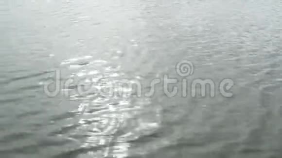 河上的水面视频的预览图