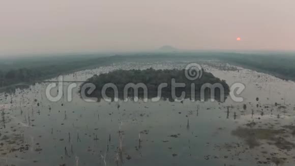 柬埔寨吴哥窟附近的湖泊古林建筑群视频的预览图