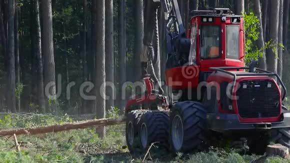 密松林中的森林收割机的工作视频的预览图