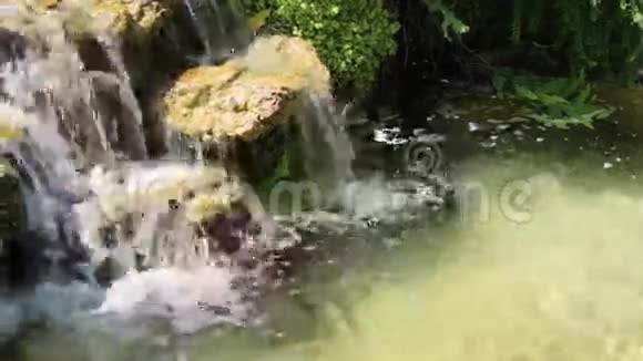 花园里的瀑布视频的预览图