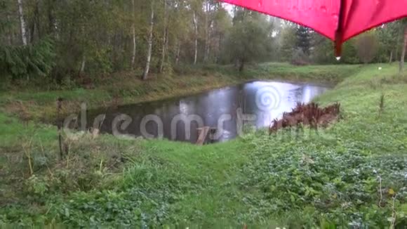 雨天夏日池塘和带水滴的红伞视频的预览图