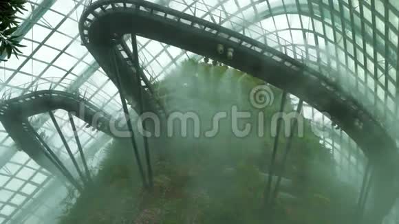 云雾中保守的云林穹顶新加坡海湾旁的花园视频的预览图