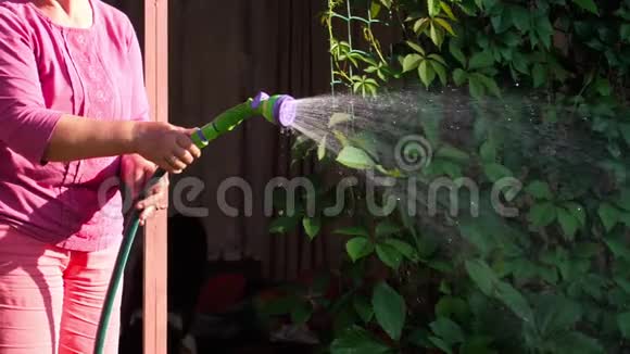 手动花园喷雾器视频的预览图