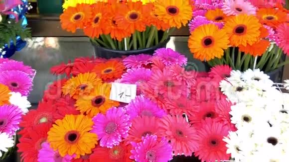 在花店GH44KUHD展出五颜六色的花朵视频的预览图
