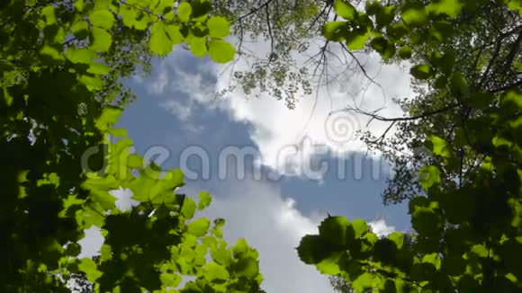 蓝天白云的景色视频的预览图