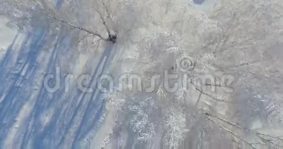 空中冬天森林里的早晨冰封的桦树冬天的田野和蓝天上有霜垂直俯视视频的预览图