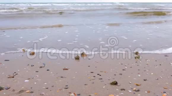 沙滩上有拉潘贝壳和海螺贝壳海中的风浪视频的预览图