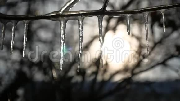 树枝上的冰柱冻水滴着夕阳的阳光冬天视频的预览图
