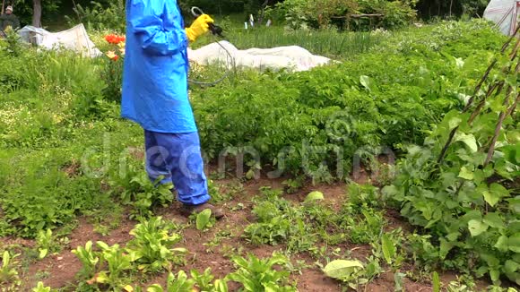 农民在植物上喷洒化肥农药视频的预览图
