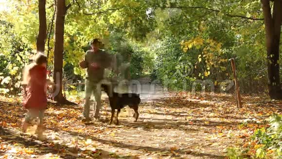 一家人在公园里玩狗视频的预览图