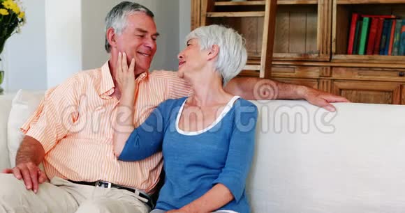 年长夫妇在客厅的沙发上相互交流视频的预览图