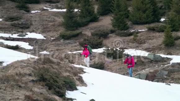 几个徒步旅行者在山里慢动作徒步旅行视频的预览图