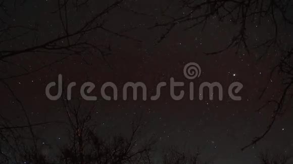 夜星时间与树的剪影视频的预览图
