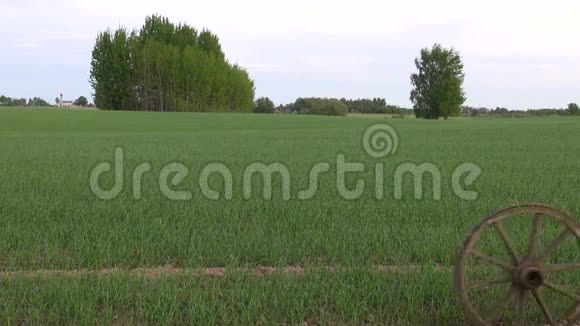 绿色农田麦田的木轮视频的预览图