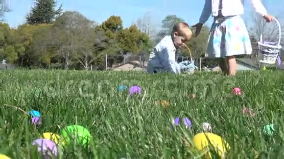 孩子们在复活节狩猎中快乐地收集彩蛋视频的预览图