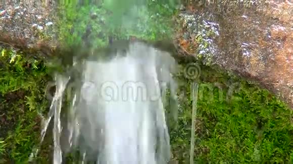 森林里的小溪小瀑布一股水流视频的预览图