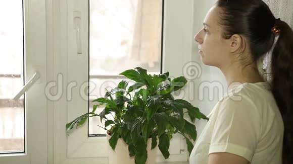 美丽的少女望着窗外视频的预览图