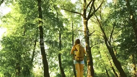 远足的女人在森林里散步女旅行者带着背包在树林里散步夏天快乐的徒步旅行者女孩视频的预览图