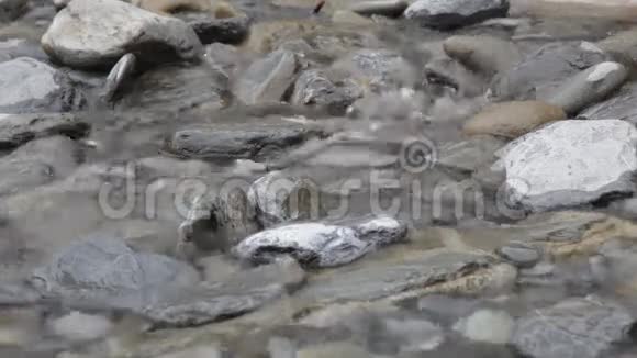 纯净山涧中的透明水视频的预览图
