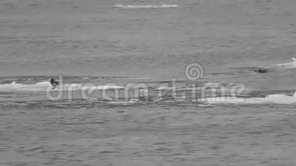 尼伯河上的冰融化了视频的预览图