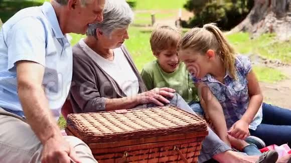 祖父母和他们的孙子们一起野餐视频的预览图