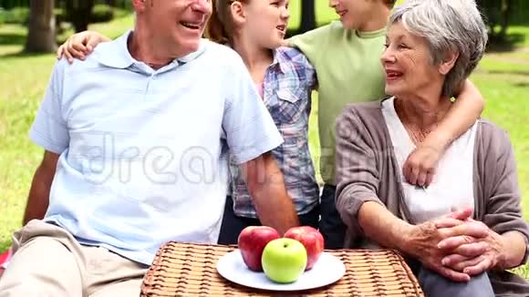 祖父母和他们的孙子们一起野餐视频的预览图