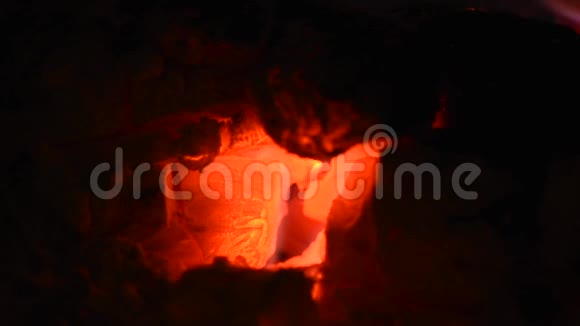 森林在壁炉里燃烧视频的预览图