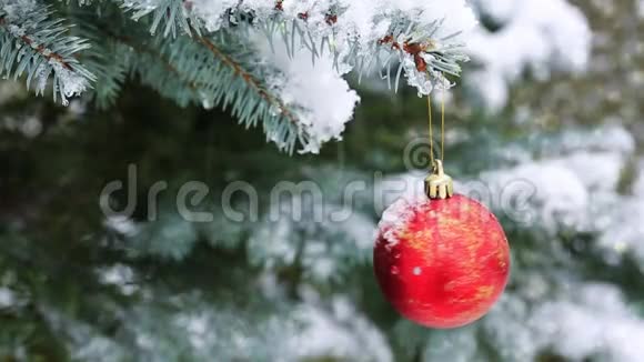 红的圣诞球在杉枝上覆盖着雪圣诞节背景视频的预览图