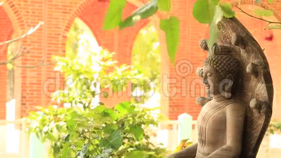 佛陀每天都在泰国美丽视频的预览图