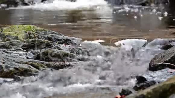 山溪在未触及的自然视频的预览图