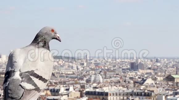 蒙马特和巴黎全景前景是鸟视频的预览图