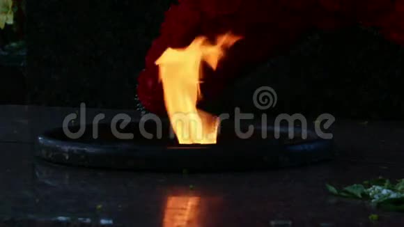 永恒的火焰尼斯维兹白俄罗斯视频的预览图