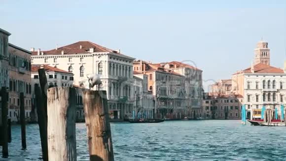 威尼斯的贡多拉视频的预览图