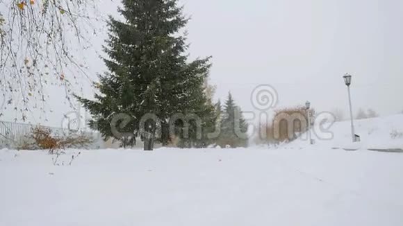 公园小巷树在冬季深雪时缓慢运动1920x1080视频的预览图