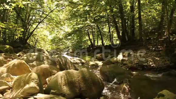 罗马尼亚古代森林中的清洁河流2视频的预览图