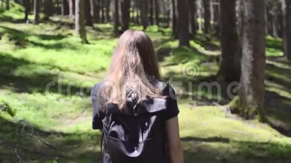在森林里散步的女人视频的预览图