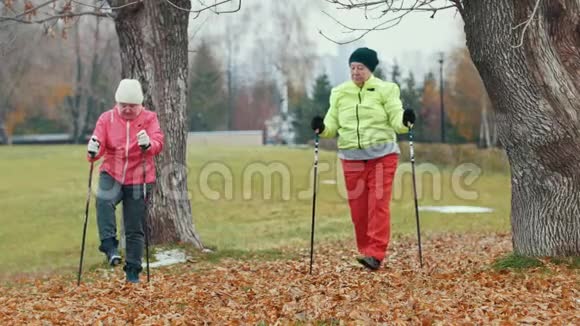 秋公园的两位老妇人在北欧散步前做热身运动视频的预览图
