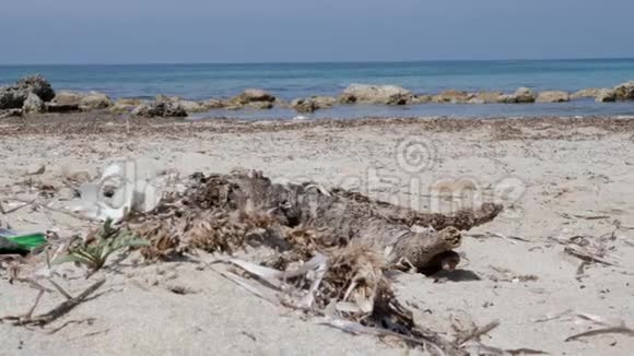 沙滩上的汽水罐和纸垃圾背景海域视频的预览图