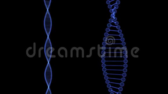 双DNA双螺旋的全息图视频的预览图