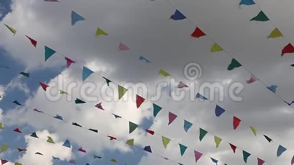 狂欢节庆祝横幅党旗视频的预览图