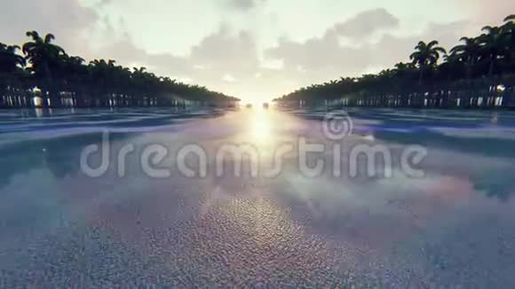 在热带日落时赛车现实的4k动画视频的预览图