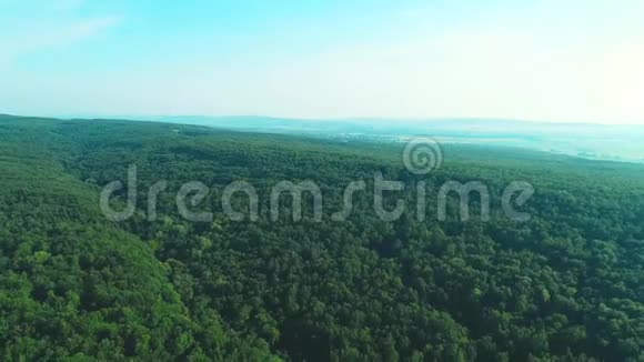 4K航空飞越一片美丽的绿色森林的乡村景观4K视频的预览图