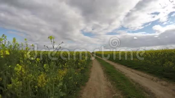 油菜田和春乡碎石路延时4K视频的预览图