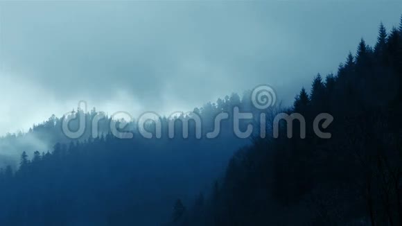 森林山脉中的云和雾视频的预览图