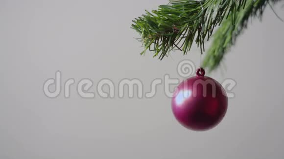 圣诞树树枝上的红色圣诞球视频的预览图