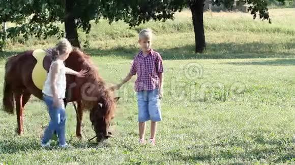 小女孩和小男孩带着小马视频的预览图