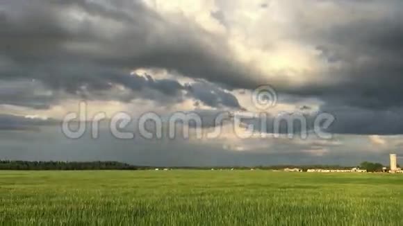 暴风雨前的全景宽敞的草地视频的预览图