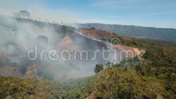鸟瞰森林火灾印度尼西亚贾瓦岛视频的预览图