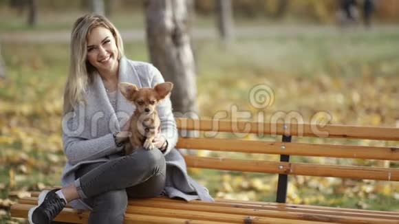 公园里年轻漂亮的女人带着她那只有趣的长发吉娃娃狗秋季背景视频的预览图