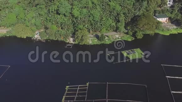 山湖岸边的树木和植被无人机视频的预览图